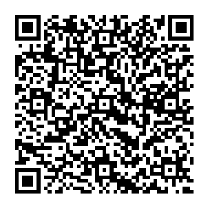 1598534063724.png