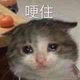 145946qcschwfhco1oozdw.jpg