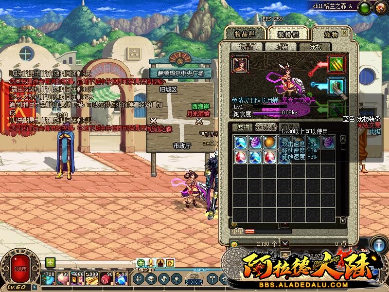 宠物.jpg